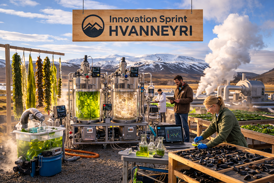 Ertu með hugmynd? Nýsköpunarvinnustofa á Hvanneyri 16. - 17. mars
