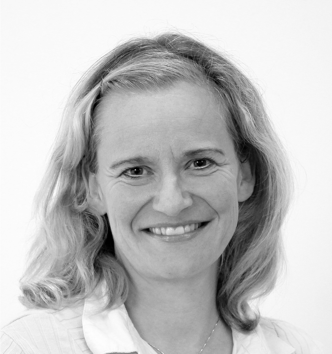 Audrey cottet phd thesis 05 image