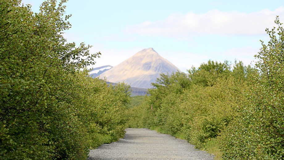 Framhaldsaðalfundur Hollvinasamtaka Bifrastar