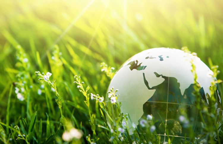 Auðlinda- og umhverfishagfræði (kennt á ensku)