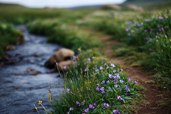 Lög og sjálfbærni