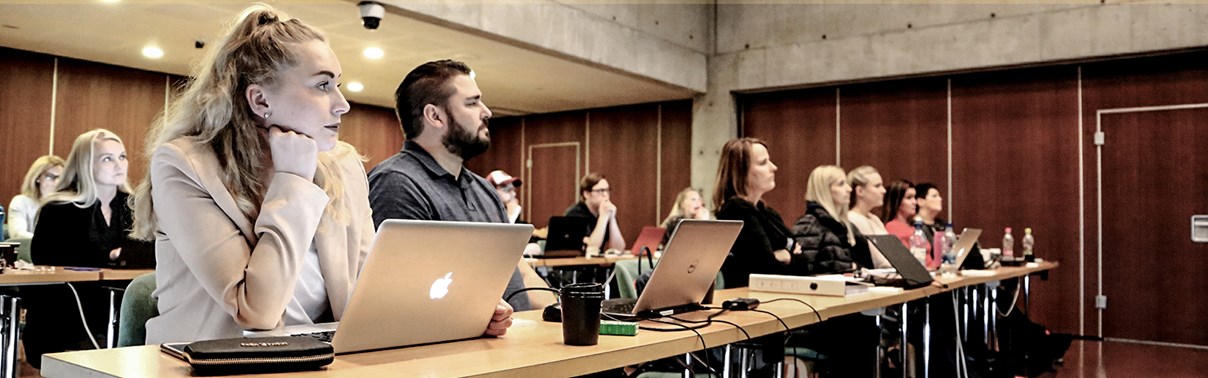 Menningarstefna og menningarstjórnun