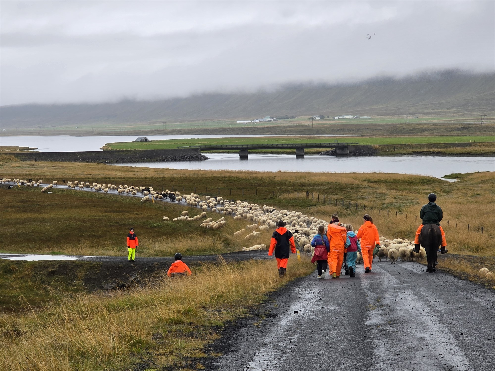 Rannsókn um óstaðbundin störf