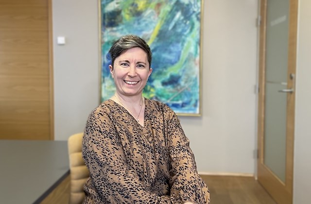Velkomin til starfa