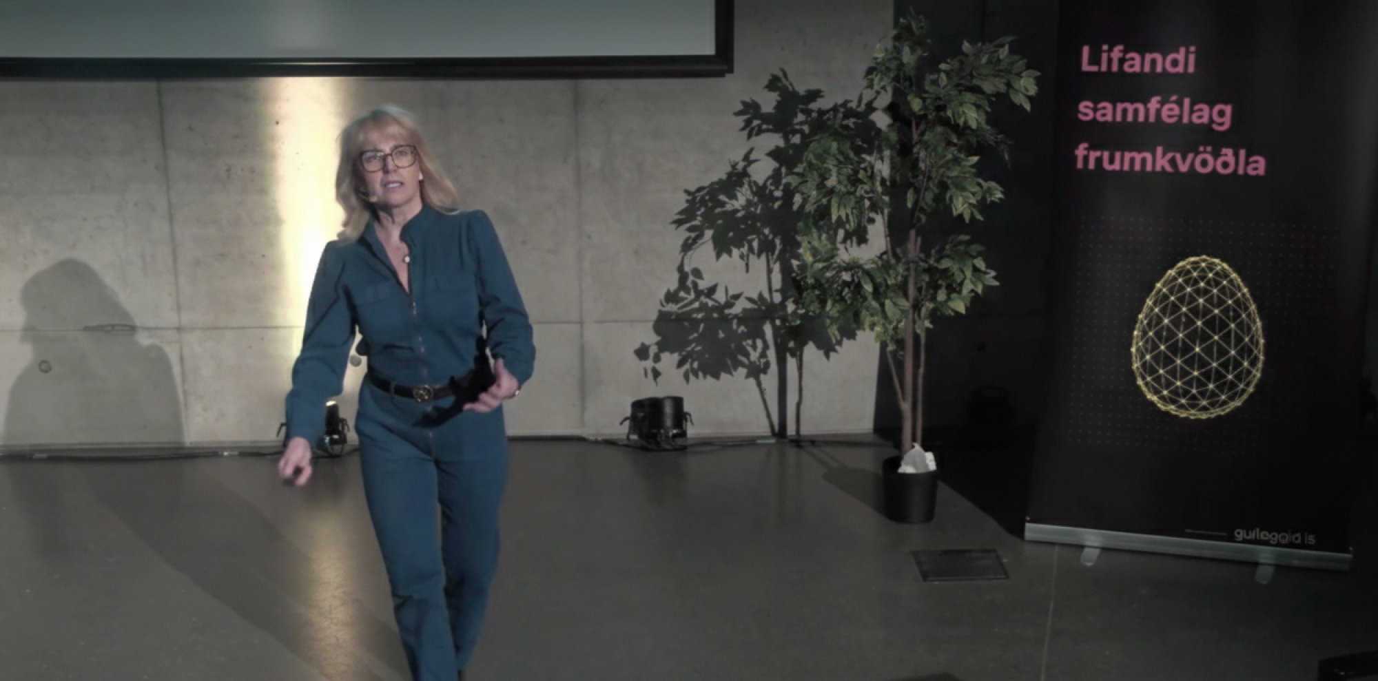 Sirrý á sérfræðingur Masterclass Gulleggsins 