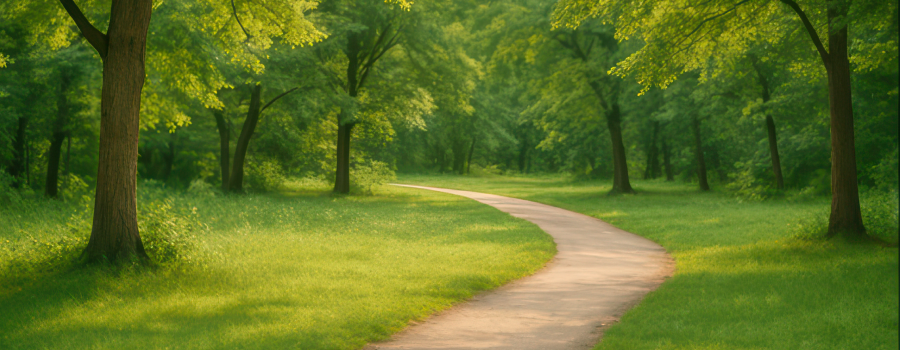 Grænn og laufskrúðugur skógur